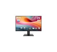 Pantalla PC Msi PRO MP251 E2