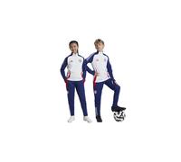 Pantalón adidas olympique lyonnais 2024/2025 tiro24 training infa 11 - 12 AÑOS