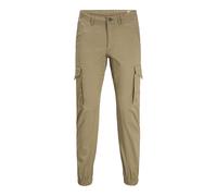 Pantalón cargo Jack & Jones Paul Flake 30x30