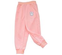 Pantalon Chandal Niño 4 Años - Deportivos Casuales Finos De Verano Ropa Deportiva De Moda Leggings Cómodos para Uso Diario De 2 A 10 Años (3-4 Years)