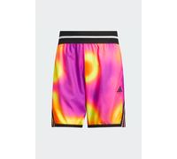 Pantalón Corto adidas Crazy Lite Aop adidas MKP