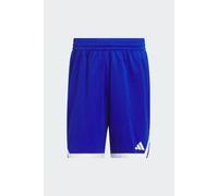 adidas Uomo M Everyday Pro BBALL Short, Royal Blue/White, L Tall
