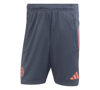 Pantalón corto de entrenamiento Bayern Múnich 2025/26 L