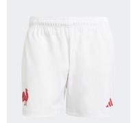 Pantalón corto de Rugby XV de Francia adulto, pantalón corto FFR blanco M