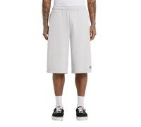 Pantalón corto Dickies Streetsboro 13" M