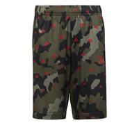 Pantalón corto estampados infantil adidas Essentials Seasonal Aeroready 11/12 ans Unisex