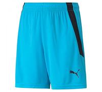 Pantalón Corto Marca Puma Modelo teamLIGA Shorts Jr