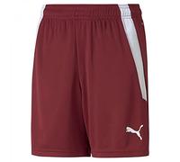 Pantalón Corto Marca Puma Modelo teamLIGA Shorts Jr