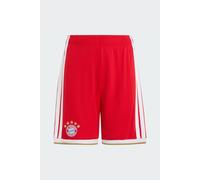 Pantalón Corto Primera Equipación Fc Bayern 26/27 adidas MKP