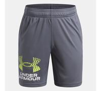 UA Tech Logo Shorts