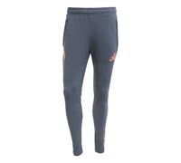 Adidas - Pantalón largo Fc Bayern Training 2025-2026, Unisex, Bold Onix, S