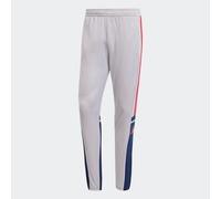 adidas Hombre SQUADRA25 Training Pant, Glory Grey/Team Navy Blue 2 / Pure Ruby, XL