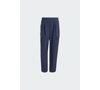 ADIDAS TERREX Pantalón de montaña 'Xploric' marino XLxregular marino