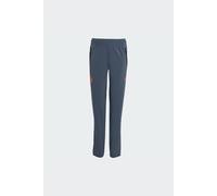 Pantalón Fc Bayern Tiro 25 Competition Vis Tech Travel adidas MKP