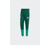 Pantalón Presentación Argelia 26 adidas MKP