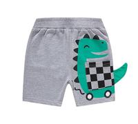 Pantalones Cortos con Diseño de Dinosaurios para Niños - Ropa Cómoda y Elegante para Actividades Exteriores y Uso Casual - Ideal para Edades de 12 Meses a 7 Años (Light Gray, 5-6 Years)