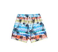 Pantalones Cortos con Estampado de Verano para bebés y niños pequeños, Traje de baño de Playa de Secado rápido, bañadores, Ropa (White, 3-4 Years)