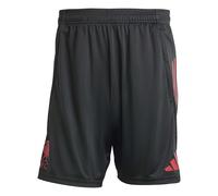 Pantalones cortos de entrenamiento del Liverpool FC Competition 2025/26 M