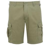 Pantalones cortos de hombre Regatta Ruwan Shorts Talla: S / Color: verde