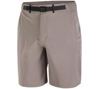 Pantalones cortos de hombre Salomon Wayfarer 2.0 short M Talla: L / Color: gris