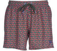 Pantalones cortos de playa para hombre ARENA Jimbaran Beachshort, madera...