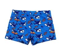 Pantalones Cortos Estampados de Verano para bebés y niños pequeños Traje de baño Playero de Secado rápido bañadores Ideales para la diversión acuática Infantil (Blue, 11-12 Years)