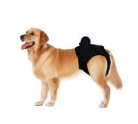 Pantalones Cortos Higiénicos para Perros Grandes Adecuados para Labradores Satsuma Pantalones Sanitarios Pantalón Fisiológicos Lavables para Perros De Compañía Productos para Cuidados De Enfermería