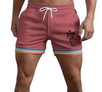 Pantalones Cortos Hombre Running, Pantalon Corto Hombre Deporte, Deportivos Verano para Color ArcoíRis con Bolsillos Y CordóN Holgados Informales Rectos para Correr Y Playa Bermudas Shorts