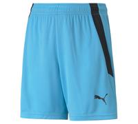 Pantalones cortos para niños Puma Team Liga 11/12