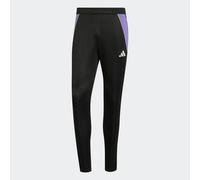 Pantalones de entrenamiento Tiro 24 Adulto Negro/Violeta XL