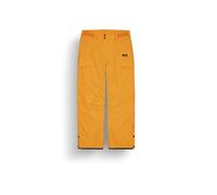 Pantalones de esquí para hombre Picture PLAN PANTS (Carrot)