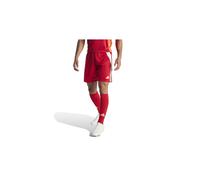 Pantalones de fútbol adidas tiro24 hombre rojo S