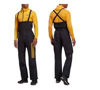 Pantalones de trekking Adidas Terrex Skychaser GORE-TEX PRO para hombre Skito...
