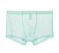 Pantalones transparentes de seda de hielo para hombre, cintura fina, malla de verano, sexy, transpirable, pantalones de moda, ropa interior abierta para hombre, azul claro, L