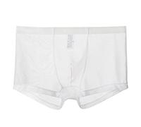 Pantalones transparentes de seda de hielo para hombre, cintura fina, malla de verano, sexy, transpirable, pantalones de moda, ropa interior abierta para hombre, blanco, M