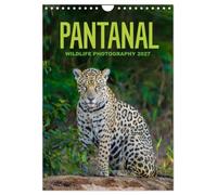 Pantanal Wildlife Photography (Wall Calendar 2027 DIN A4 portrait), CALVENDO 12 Month Wall Calendar: The wonderful and unique wild animals of South America