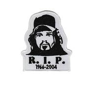 Pantera Dimebag Darrell 1966 2004 parche patch bordado con logotipo para planchar de hierro en apliques