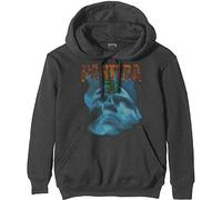 Pantera - Felpa # L Unisex Grey # Far Beyond Driven World Tour