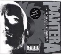 Pantera - I'm Broken 2