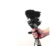 Pantha Negra - They Don't Let Me In [VINYL] [Vinyl LP] [Vinilo]