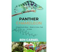 PANTHER CHAMELEON: A Spectrum Alive - Bred in Color, Fed in Care