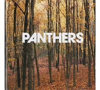 Panthers - Things Are Strange