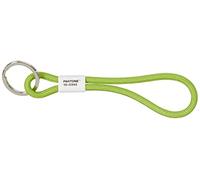 Pantone Key Chain Llavero 18 centimeters Verde (Green 15-0343)