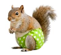 Pants Squirrel Highly Absorbent Leak-Proof, Small Size Bunny Diapers for Rabbits, Soft Material Finish, Small Animal Accessory Set, Suitable Mice Gerbils Hamsters Ferrets Degus