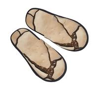 Pantuflas Patrón De Tierra Agrietada Pantuflas De Invierno Cómodo Ligeras Zapatos De Casa Para Hotel Exterior Spa L