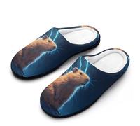 Pantuflas Trueno Y Capibara Slippers XL