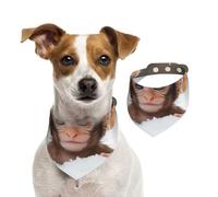 Pañuelo con diseño de Monkeys in The Snow, ajustable para niños y niñas, adecuado para gatos y perros, accesorios para mascotas