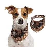 Pañuelo de algodón de doble cara para cumpleaños de perro, lavable, diseño de rinoceronte a la vista, baberos para perros pequeños, medianos y grandes, unisex, para perros, gatos, mascotas, mediano