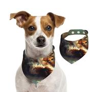 Pañuelo de algodón de doble cara para cumpleaños de perro o niña, lavable, con texto en inglés "A Little Cat Sleeping in The Sunshine", baberos para perros pequeños, medianos y grandes, unisex, para