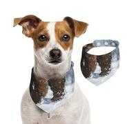 Pañuelo de algodón de doble cara para cumpleaños de perro para niña y niño, lavable, diseño de oso solitario en la tormenta de nieve, baberos para perros pequeños, medianos y grandes, unisex, para